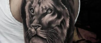 33 siyah beyaz gölgeli aslan dövmesi modelleri - Dövme Modelleri