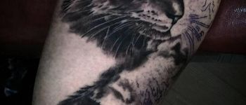 78 siyah beyaz gölgeli kedi dövmesi - Dövme Modelleri