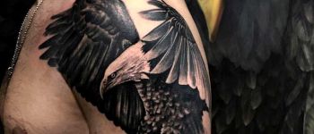 kartal-dovmesi-omuz-kol-bolgesi - Dövme Modelleri
